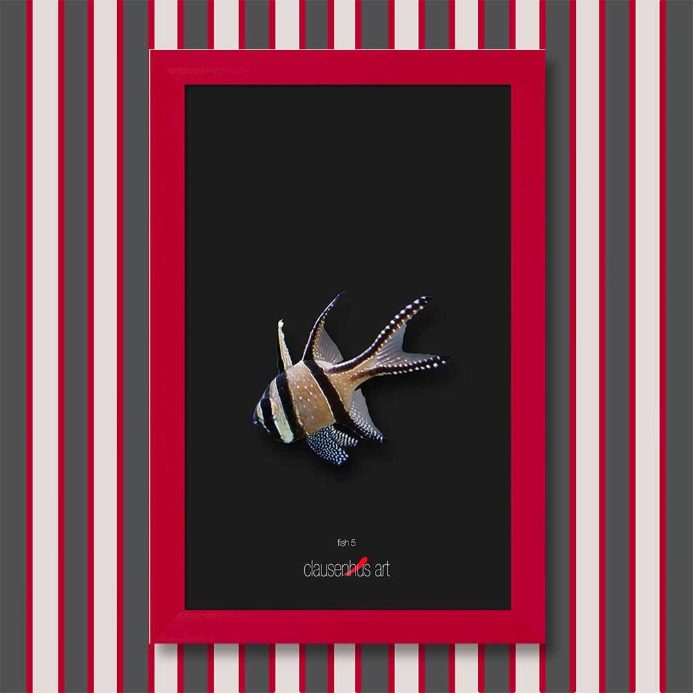 fish-5-copy.jpg