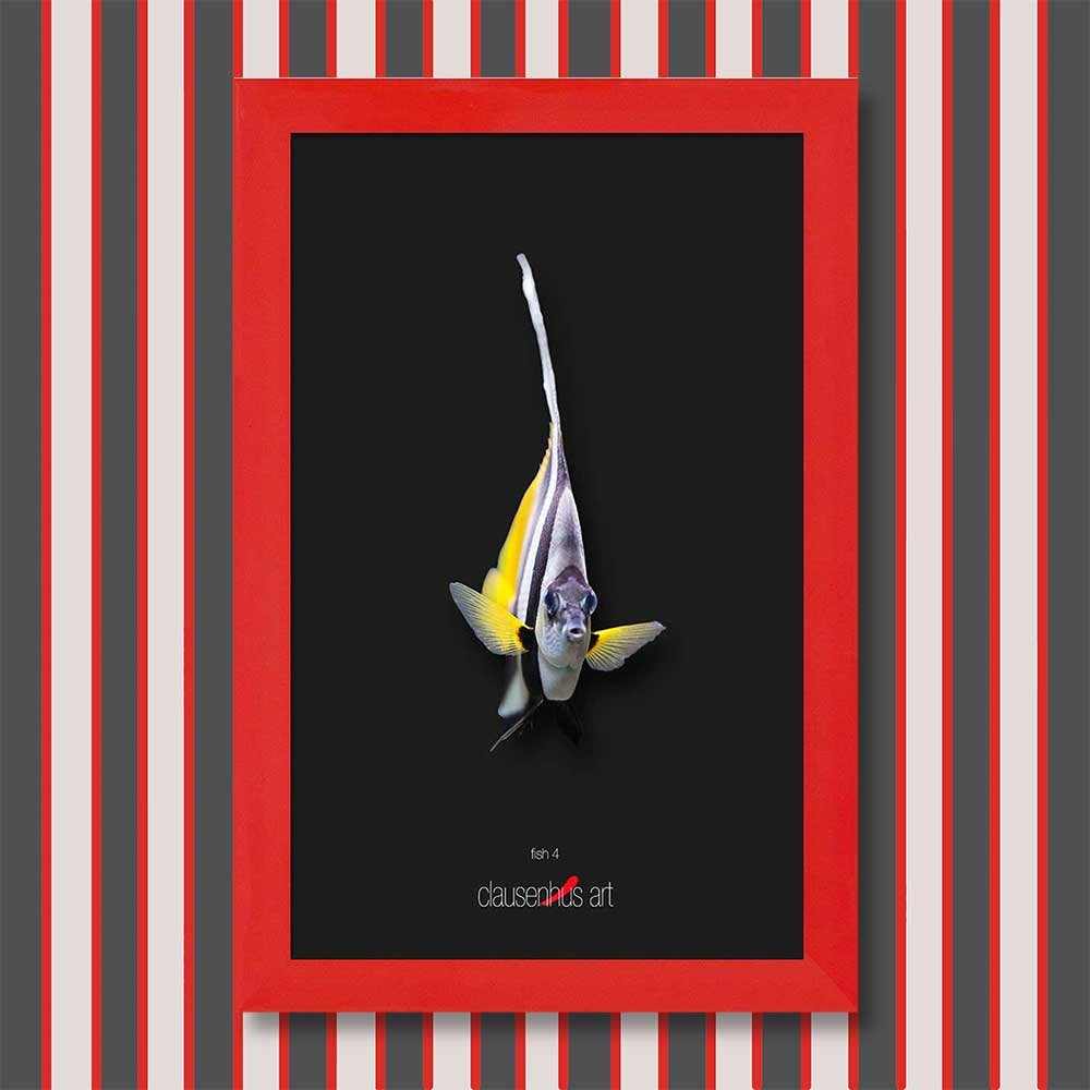 fish-4-copy.jpg