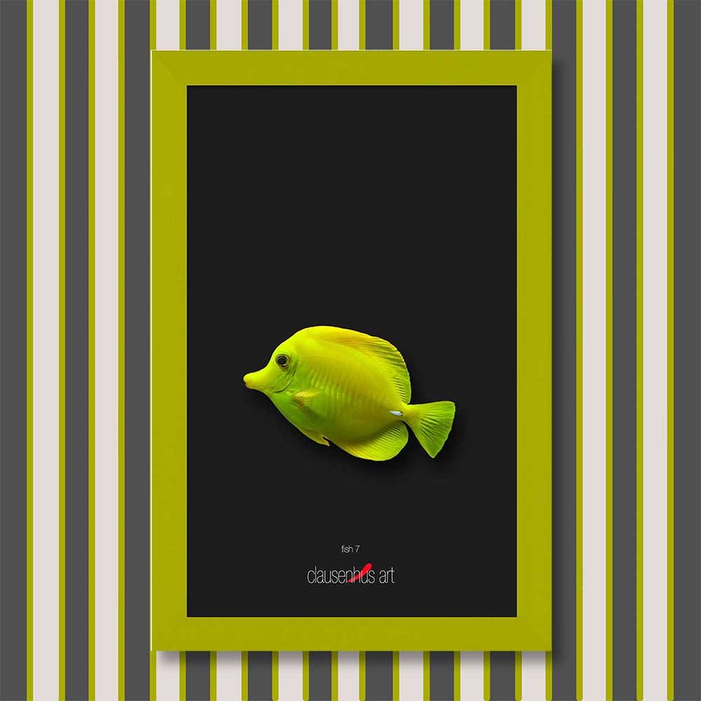fish-7-copy.jpg