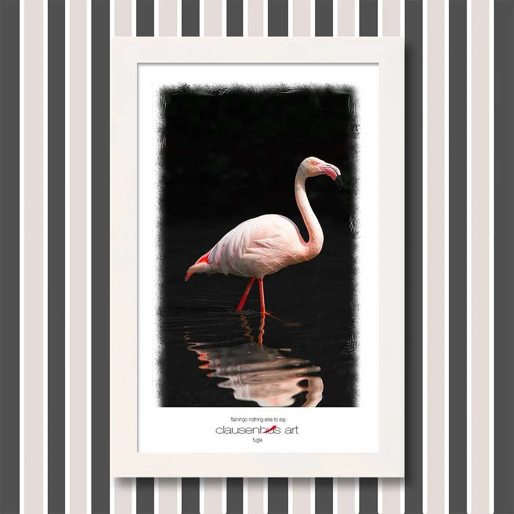 flamingo inget annat att säga.jpg