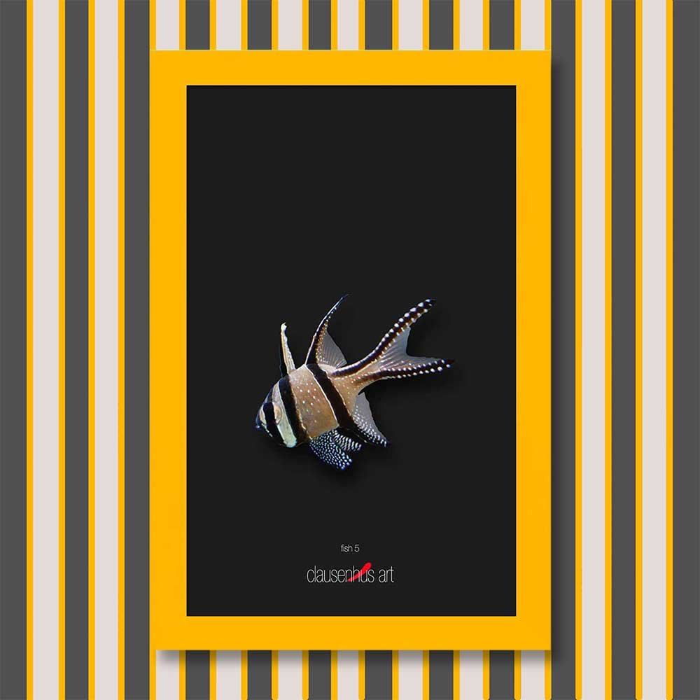 fish-5-copy.jpg
