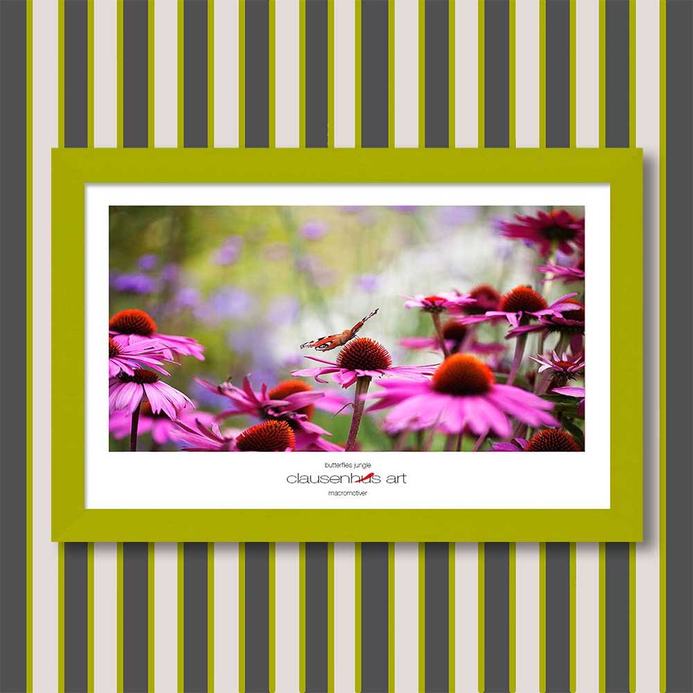 butterflies-jungle-copy.jpg