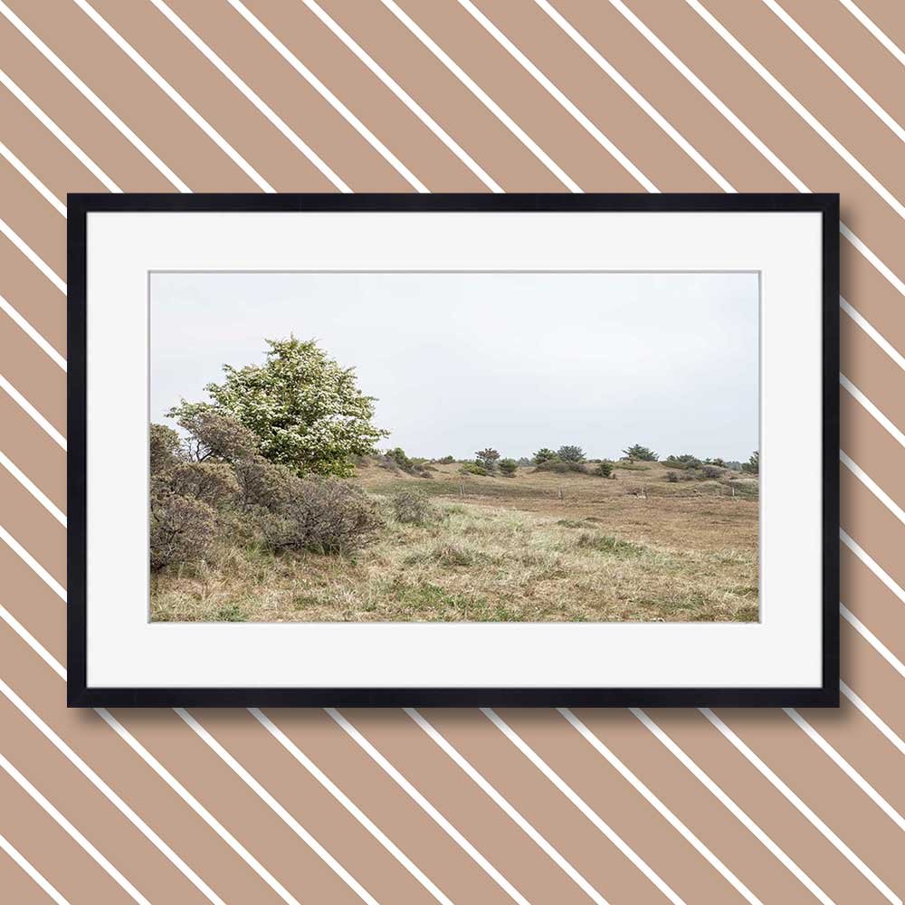 titel: skallerup inlandsdyner 4