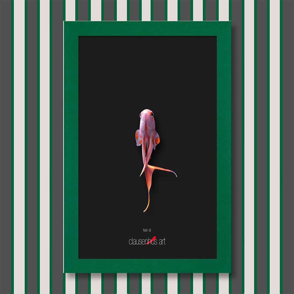fish-9-copy.jpg