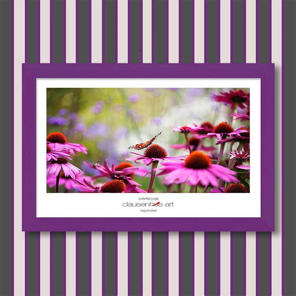 butterflies-jungle-copy.jpg