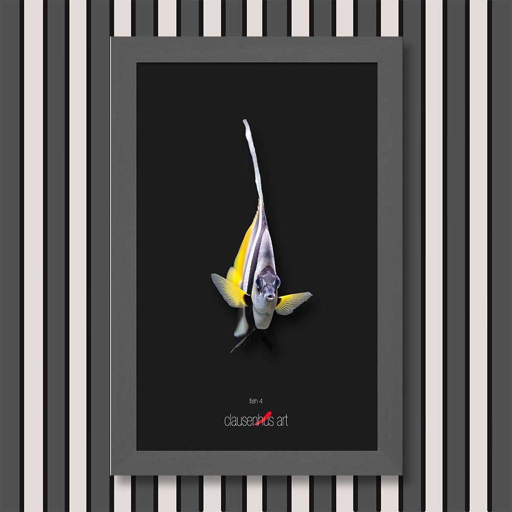 fish-4-copy.jpg