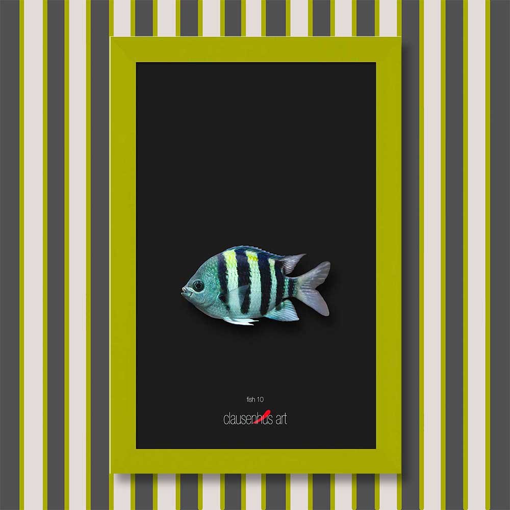 fish-10-copy.jpg