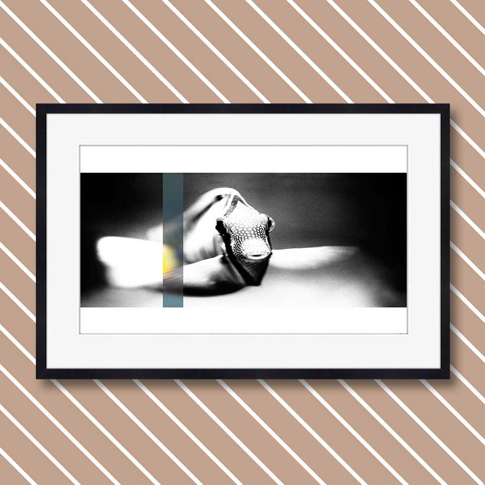 titel: perception 12