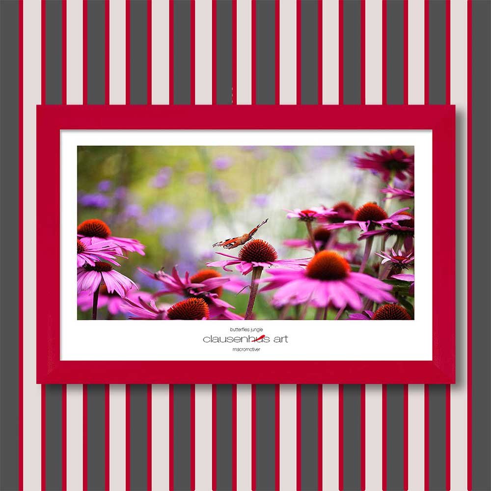 butterflies-jungle-copy.jpg