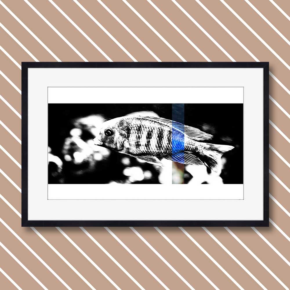 titel: perception 5