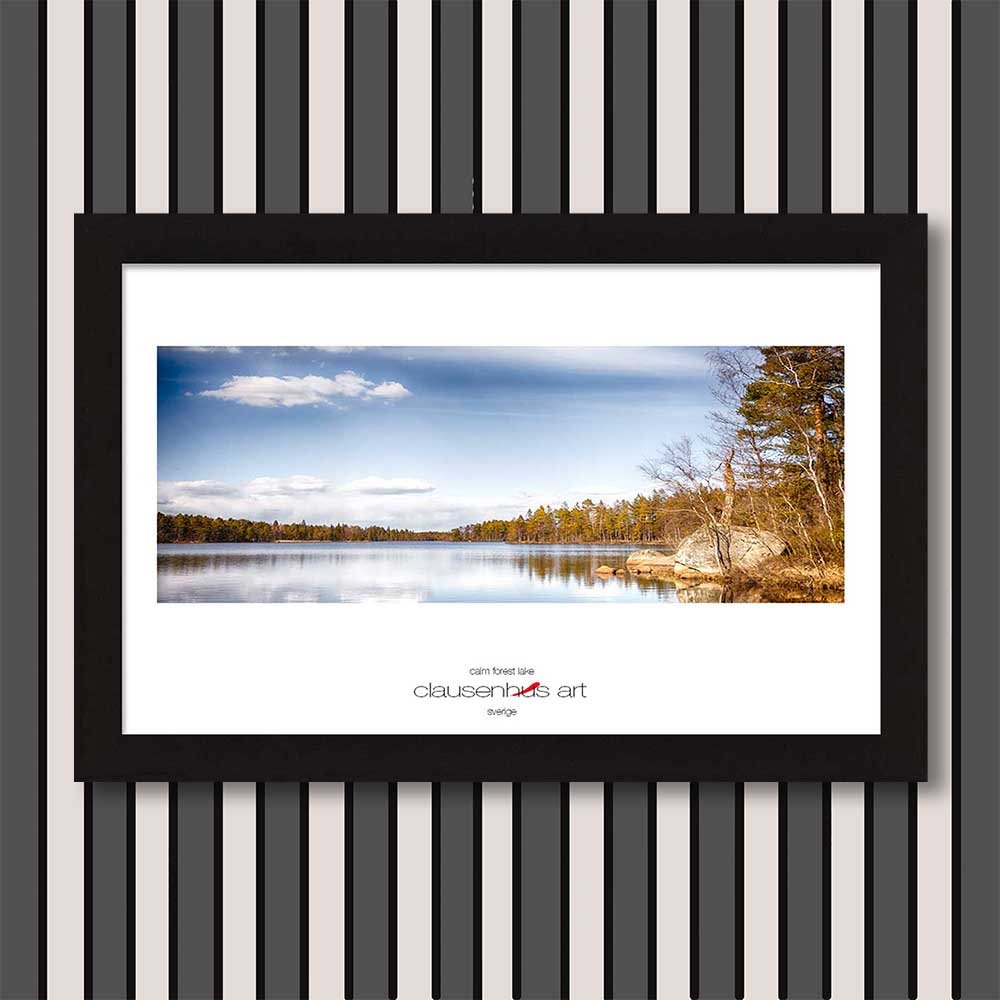 calm-forest-lake-copy.jpg