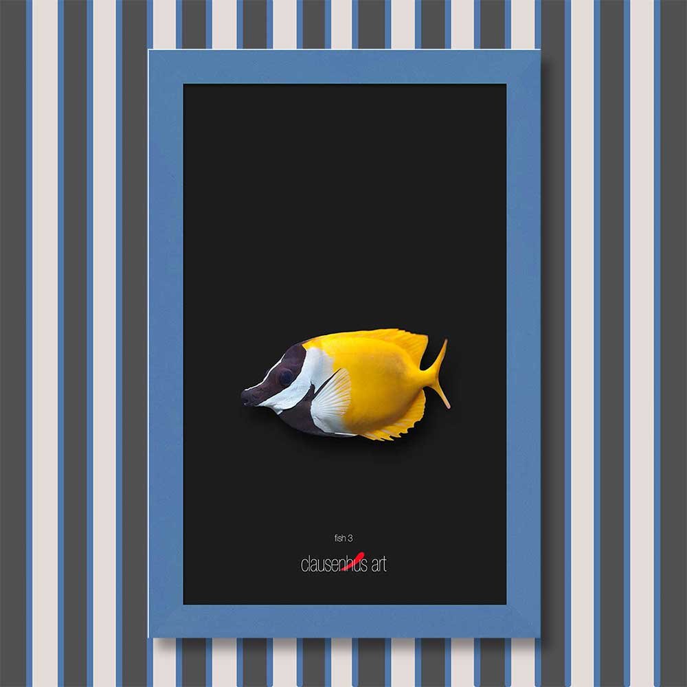 fish-3-copy.jpg