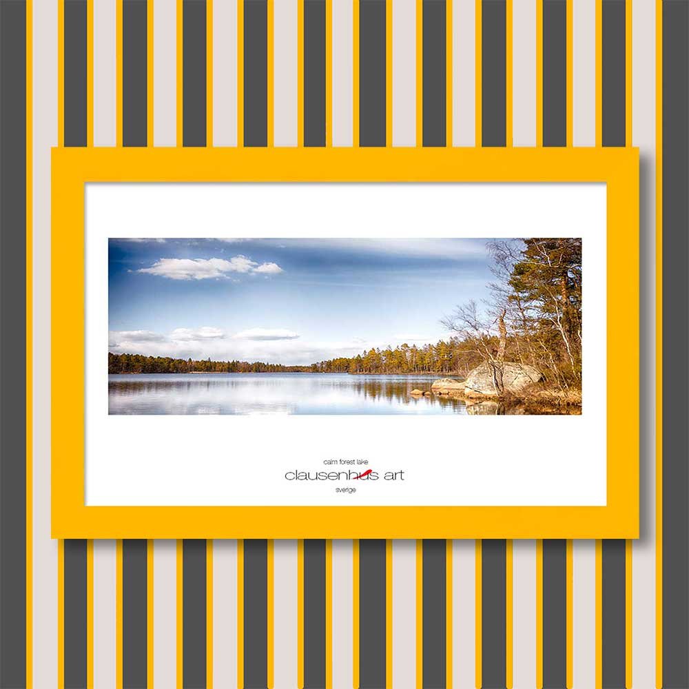 calm-forest-lake-copy.jpg