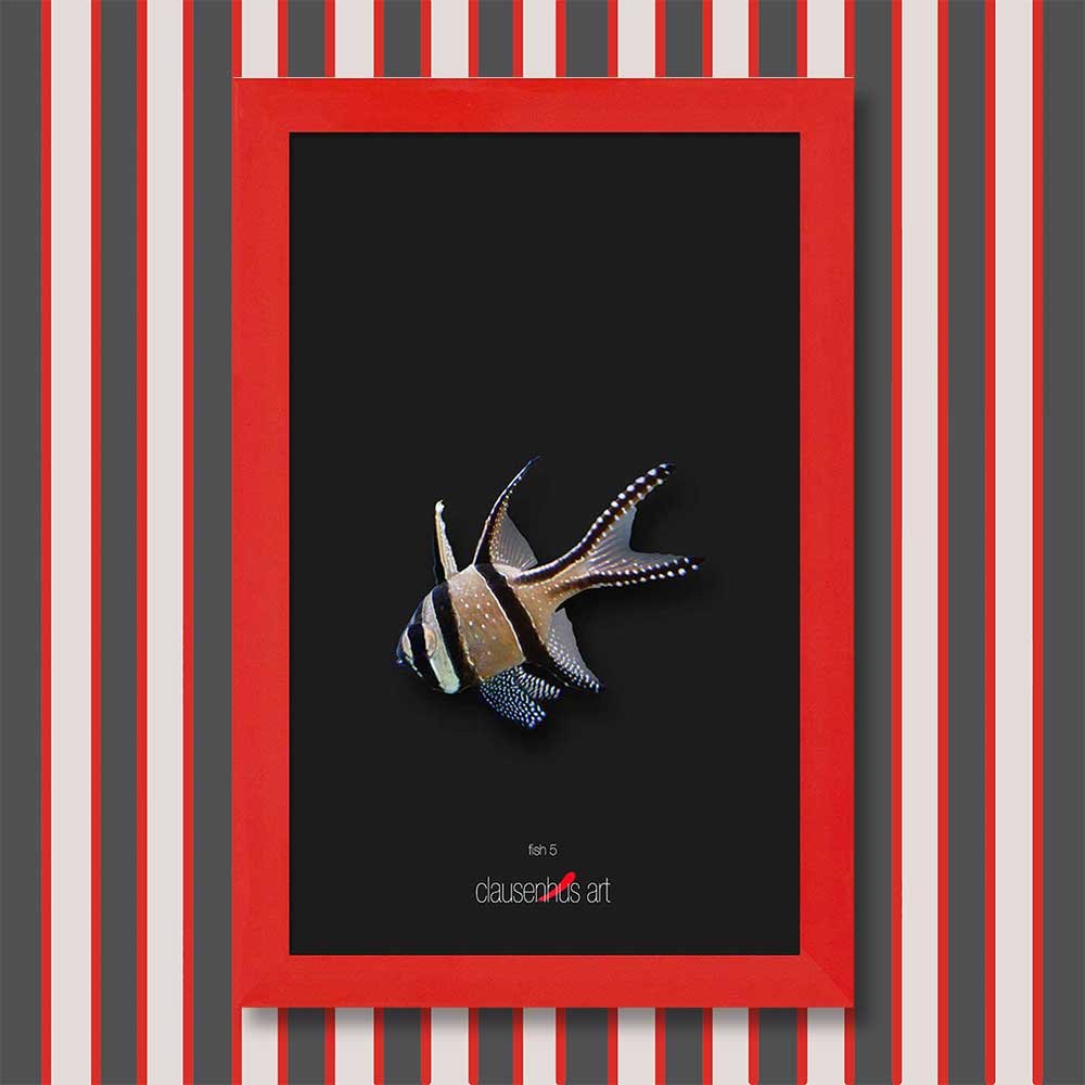 fish-5-copy.jpg