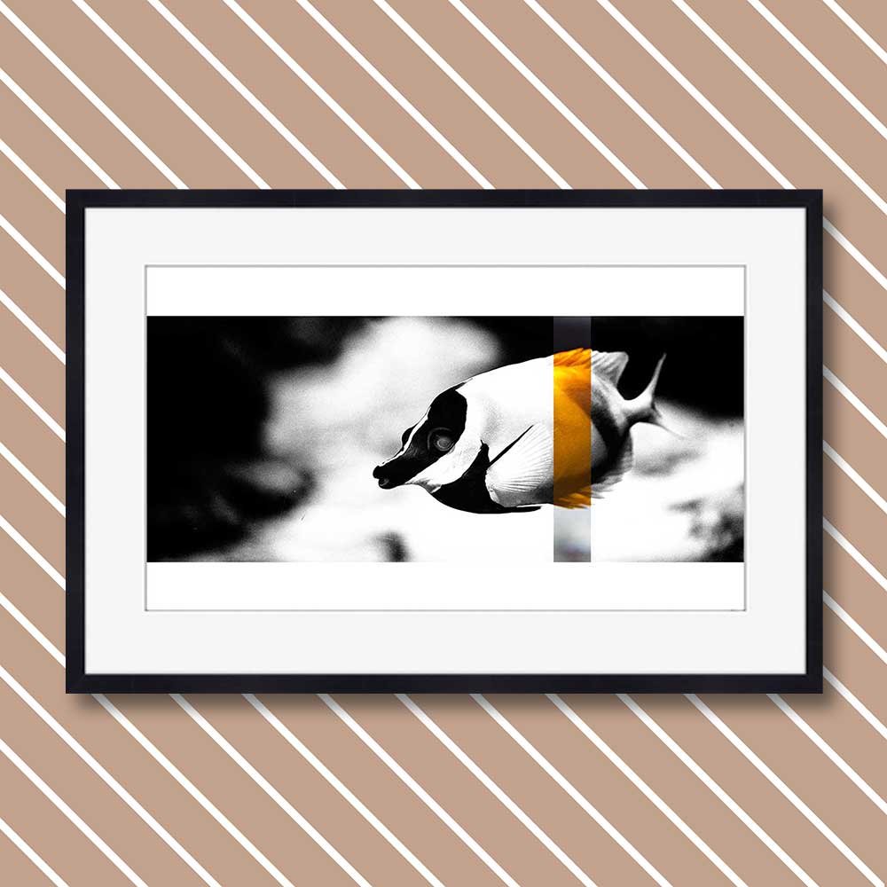 titel: perception 1