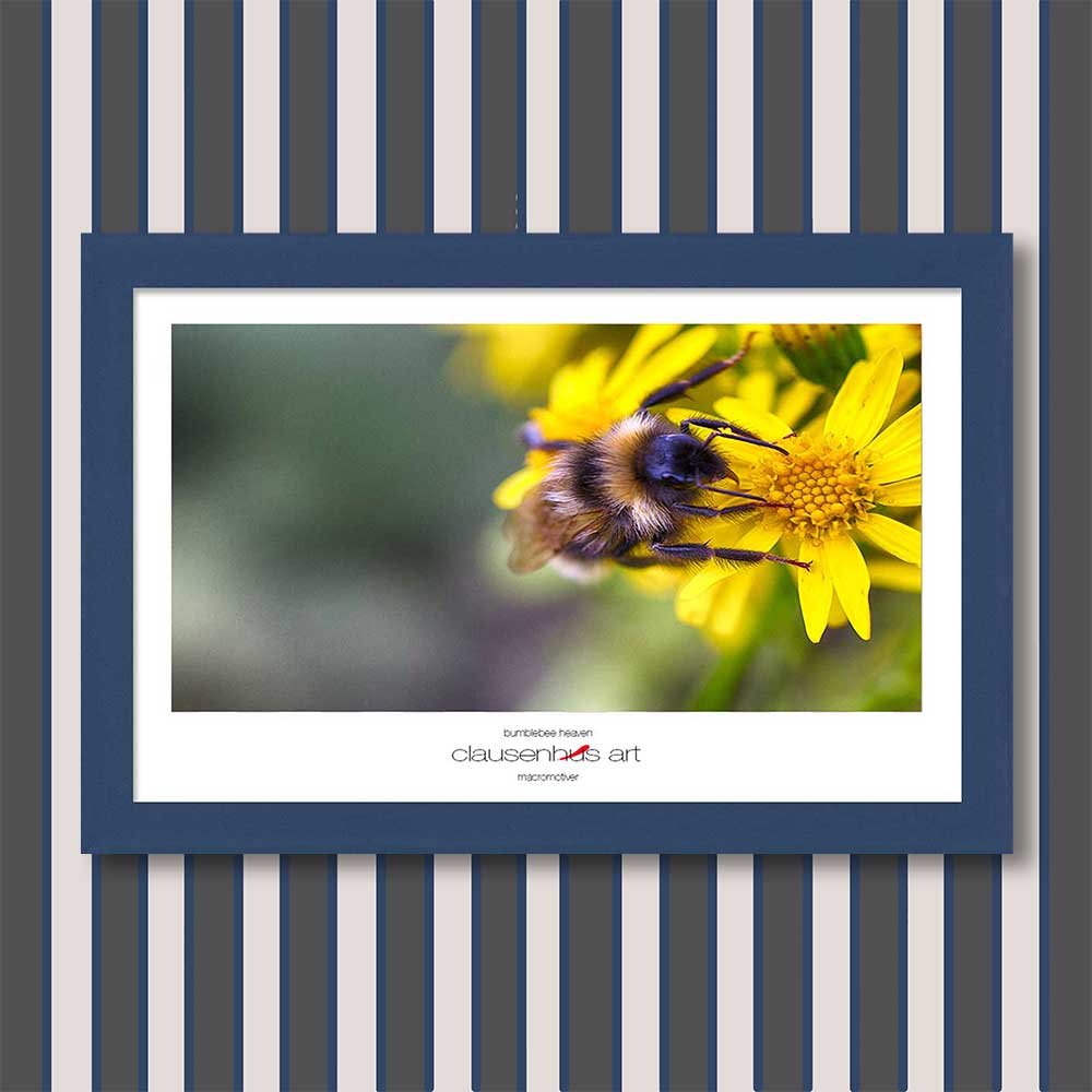 bumblebee-heaven-copy.jpg