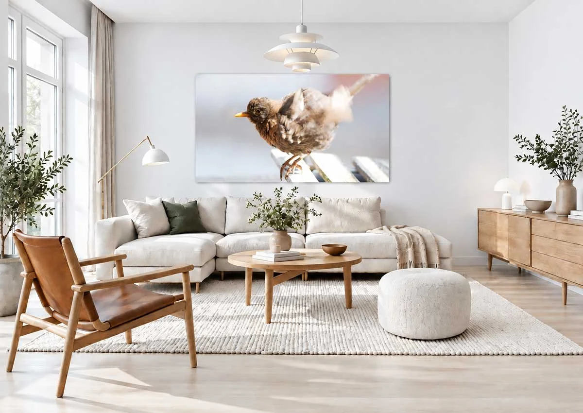 Airy-Scandinavian-Living-Room-with-Bird-Art.jpg