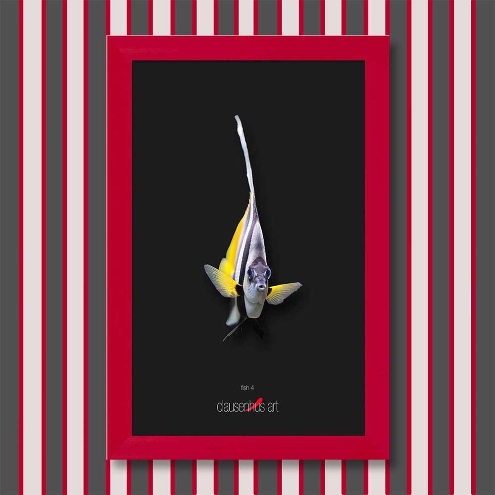 fish-4-copy.jpg