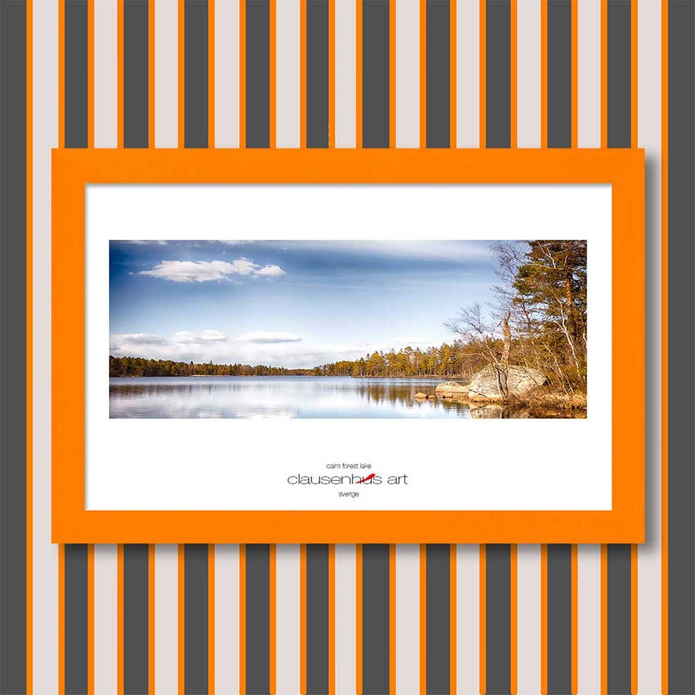 calm-forest-lake-copy.jpg