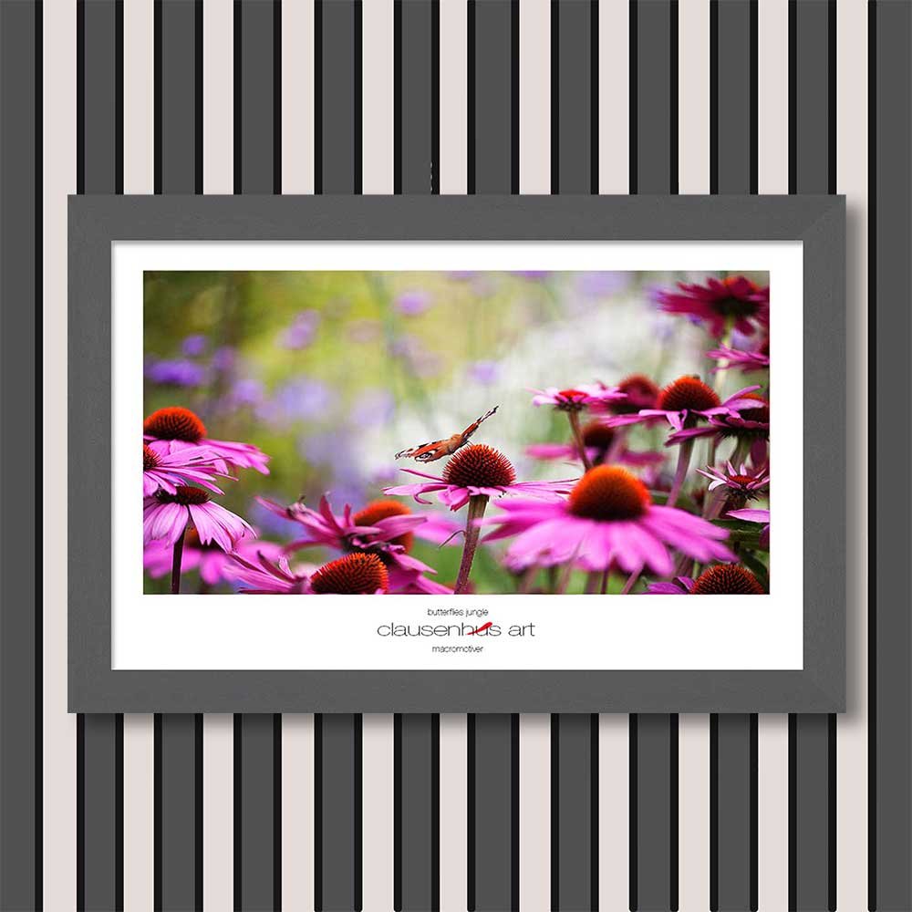 butterflies-jungle-copy.jpg