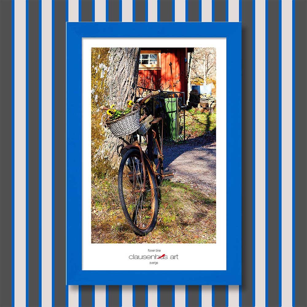flower-bike-copy.jpg