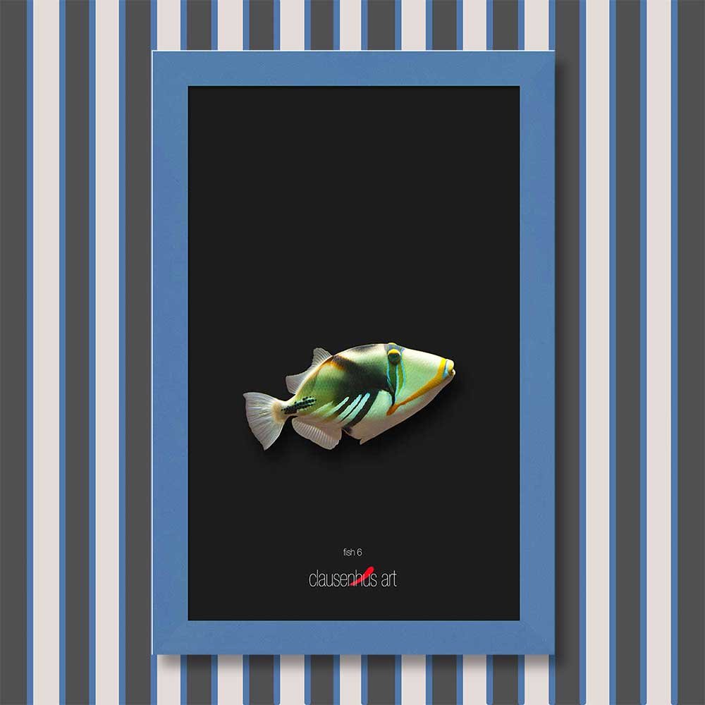 fish-6-copy.jpg