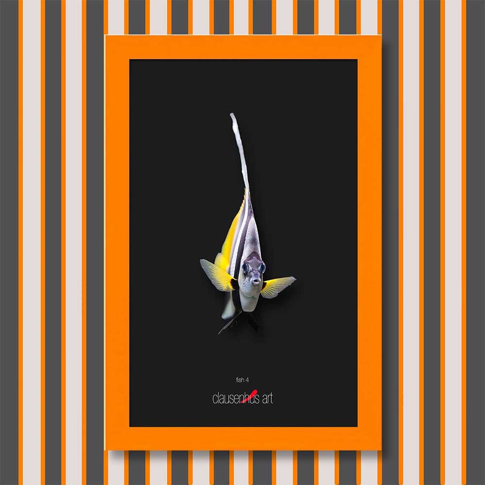 fish-4-copy.jpg