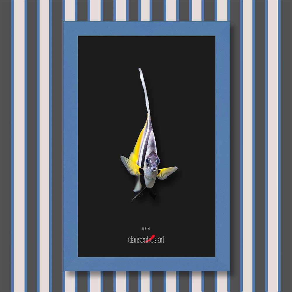 fish-4-copy.jpg