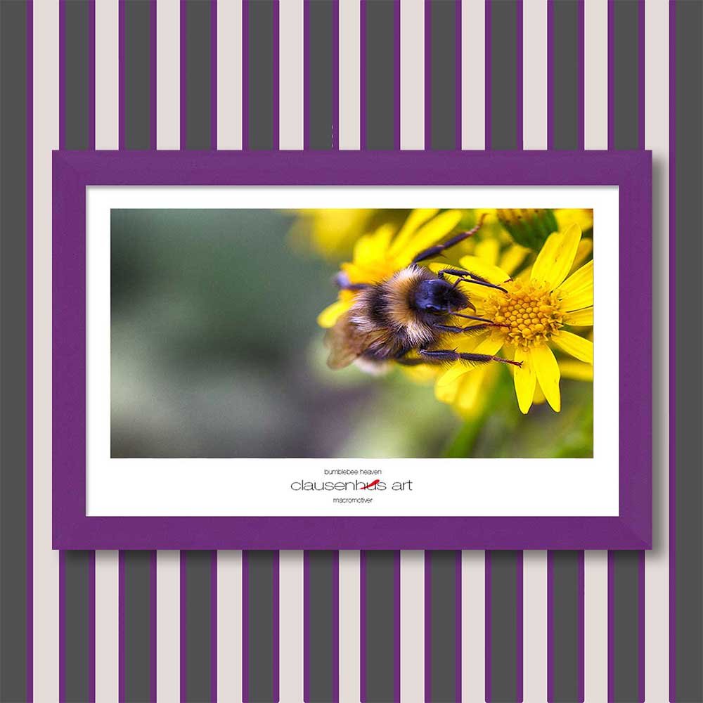 bumblebee-heaven-copy.jpg