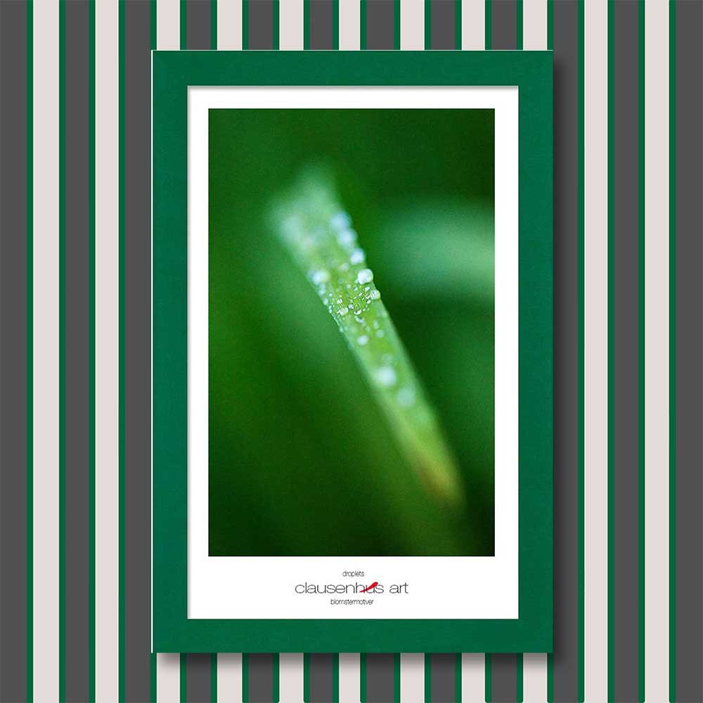 droplets-copy.jpg