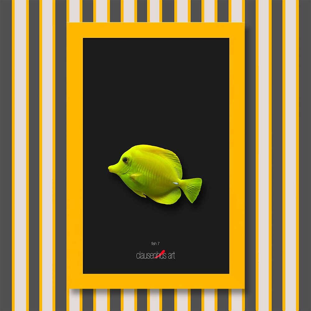 fish-7-copy.jpg