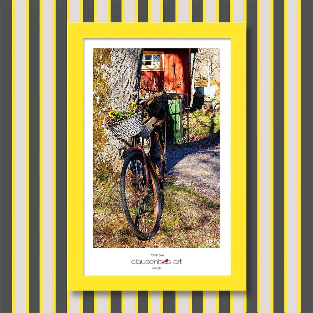 flower-bike-copy.jpg