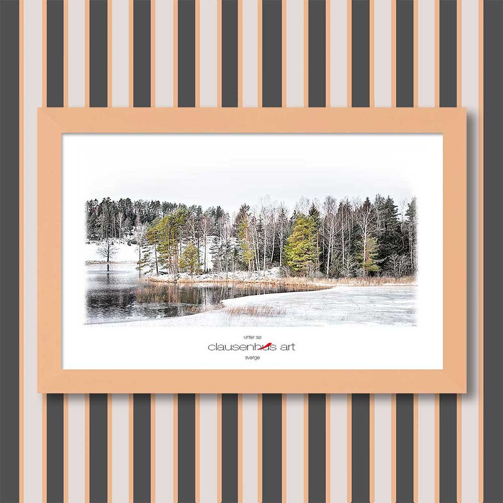 vinter-sø-copy.jpg