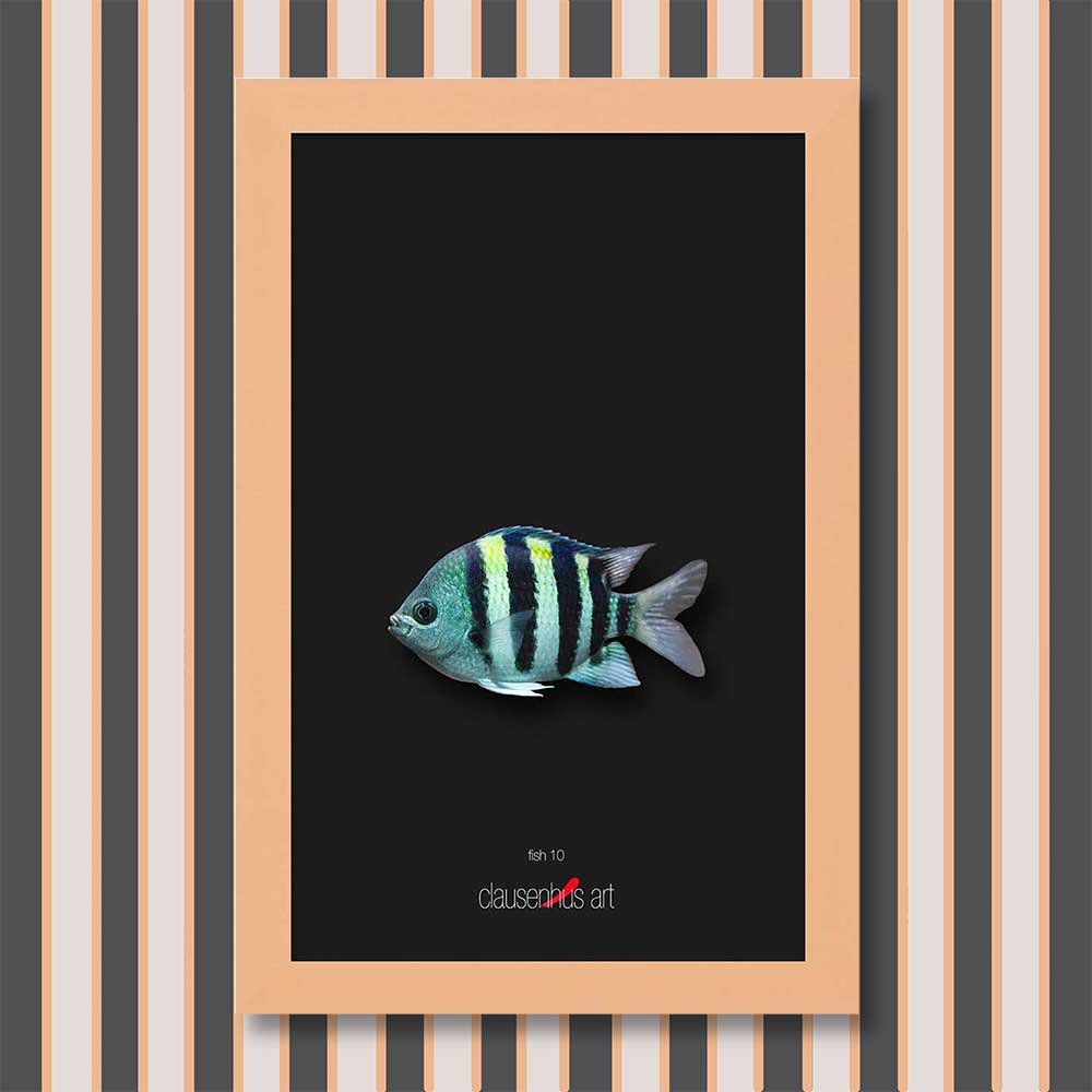 fish-10-copy.jpg