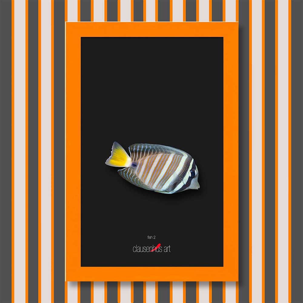 fish-2-copy.jpg