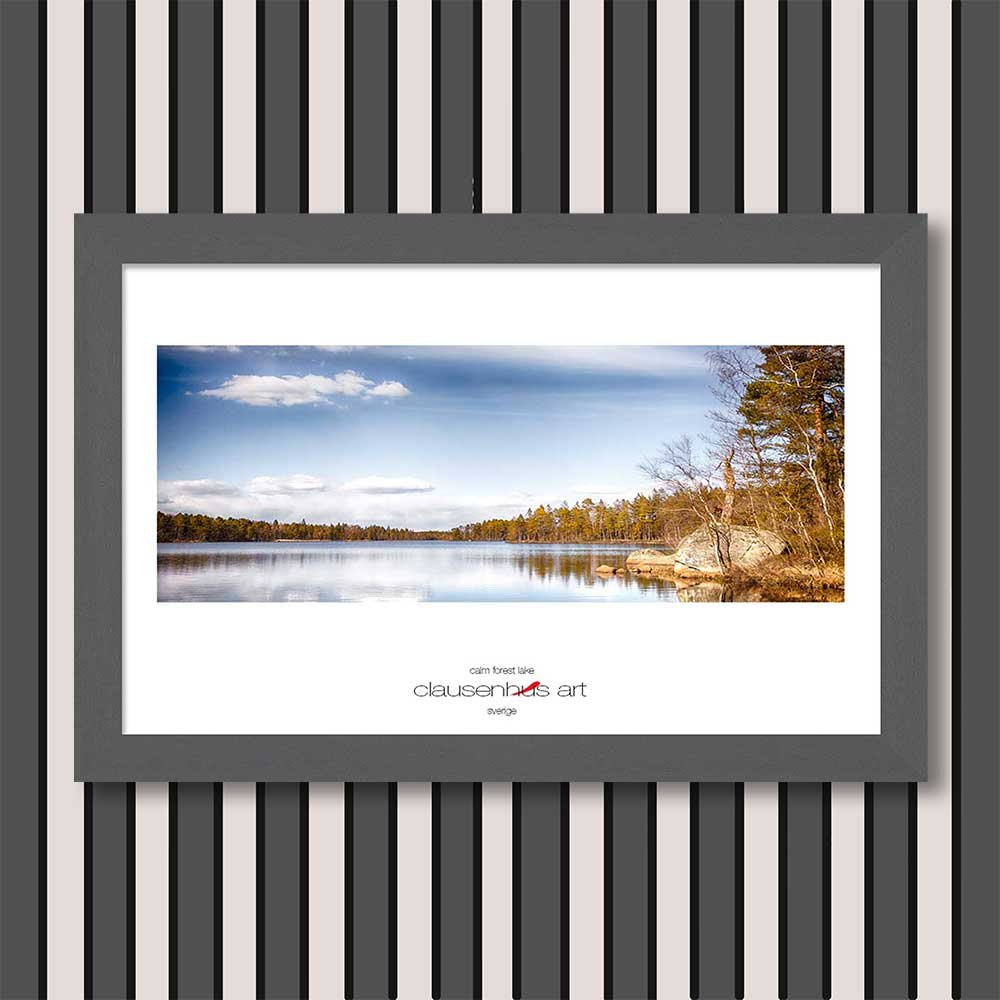 calm-forest-lake-copy.jpg