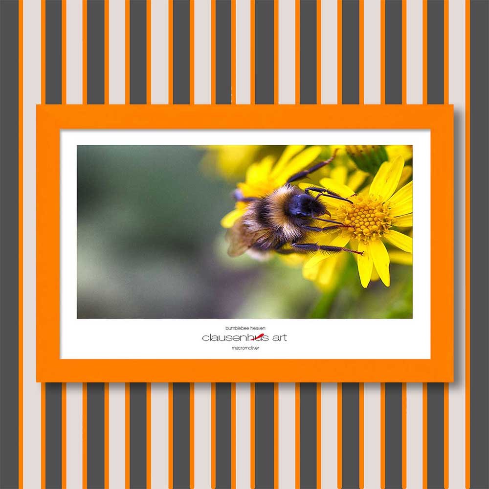 bumblebee-heaven-copy.jpg