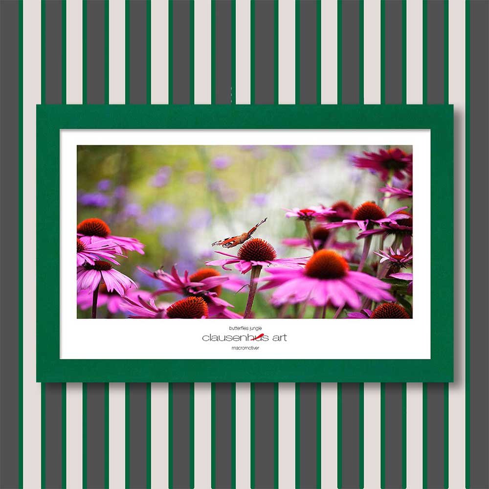 butterflies-jungle-copy.jpg