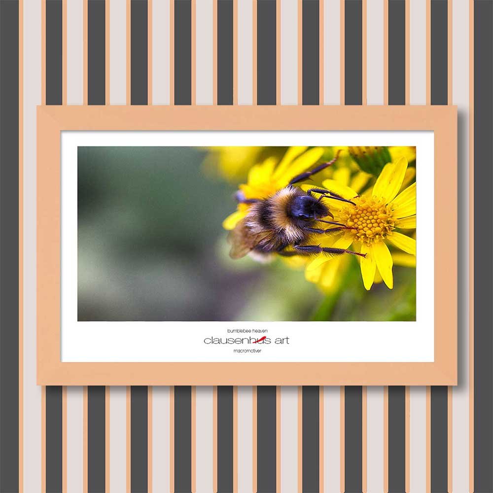 bumblebee-heaven-copy.jpg