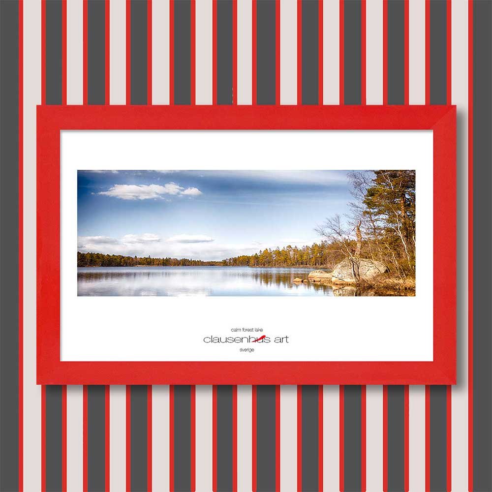 calm-forest-lake-copy.jpg