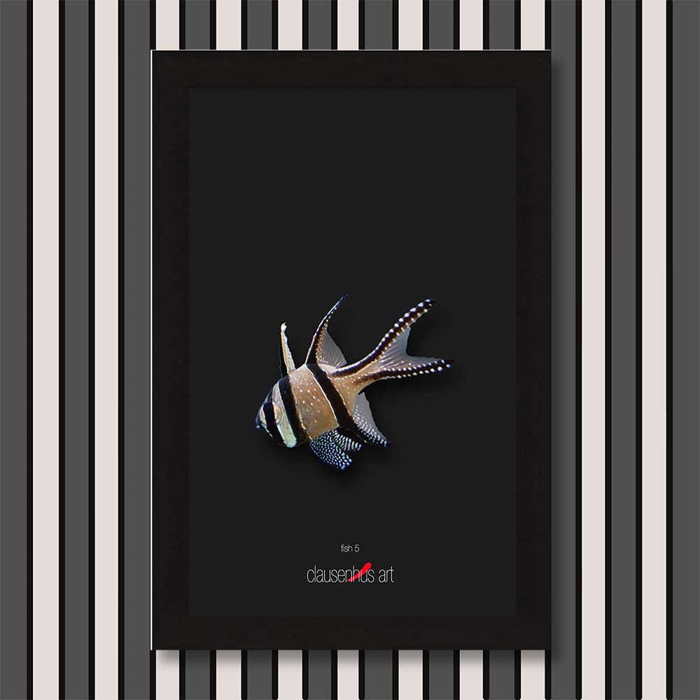 fish-5-copy.jpg