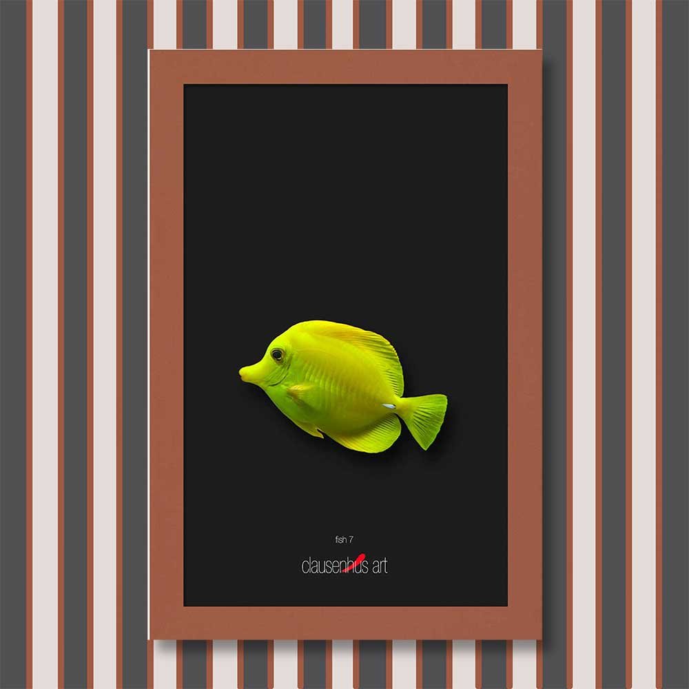 fish-7-copy.jpg