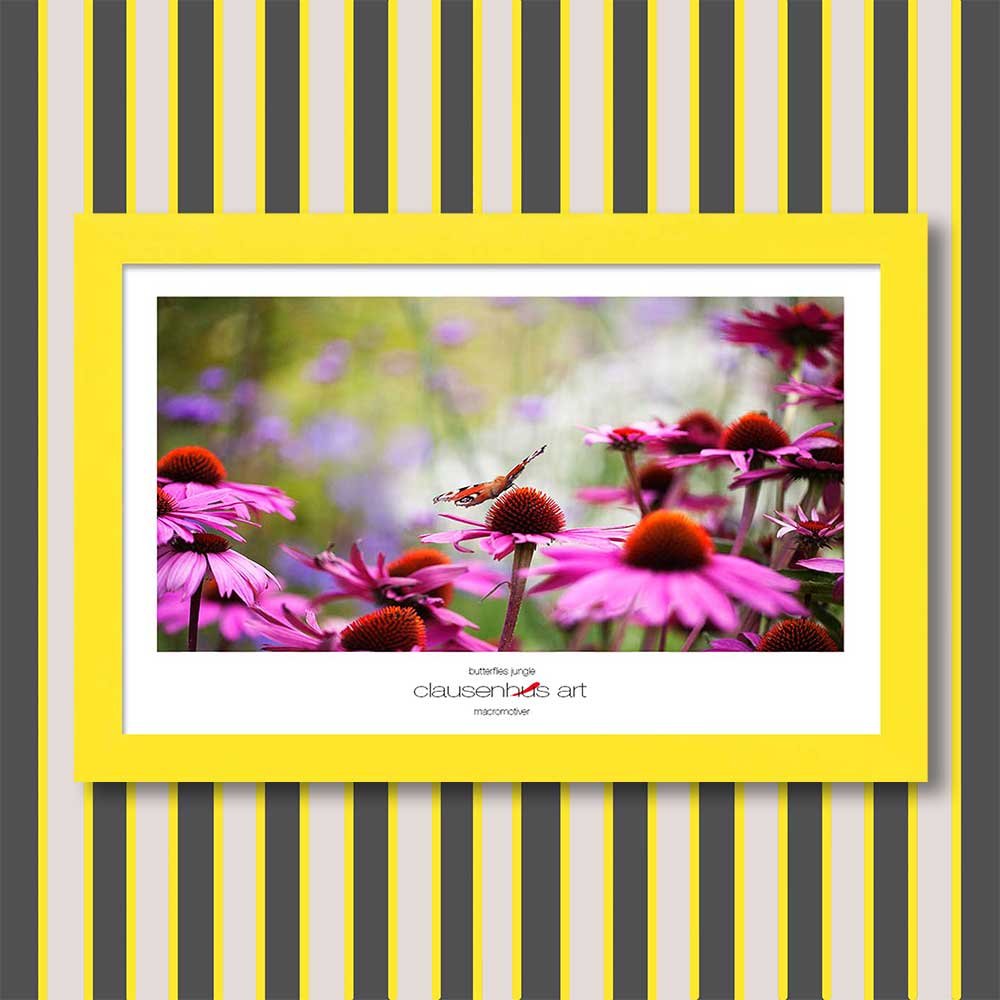 butterflies-jungle-copy.jpg