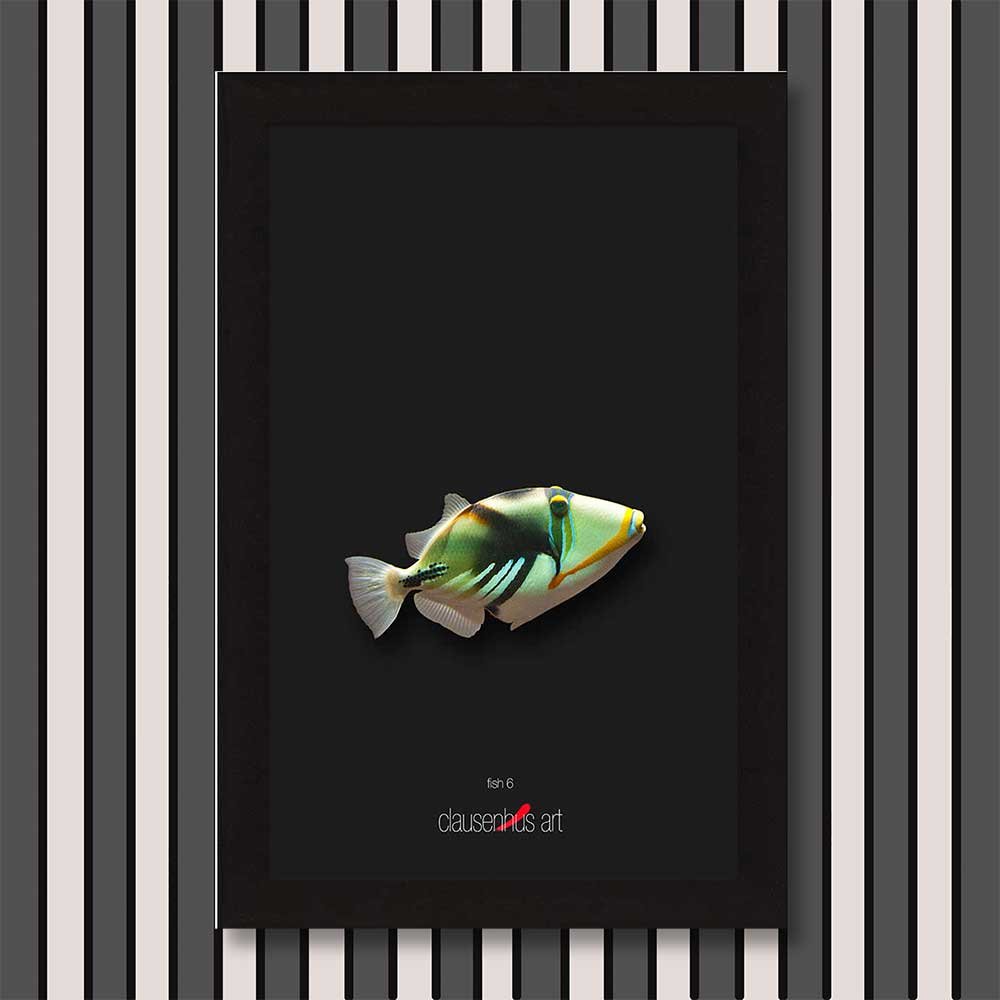 fish-6-copy.jpg