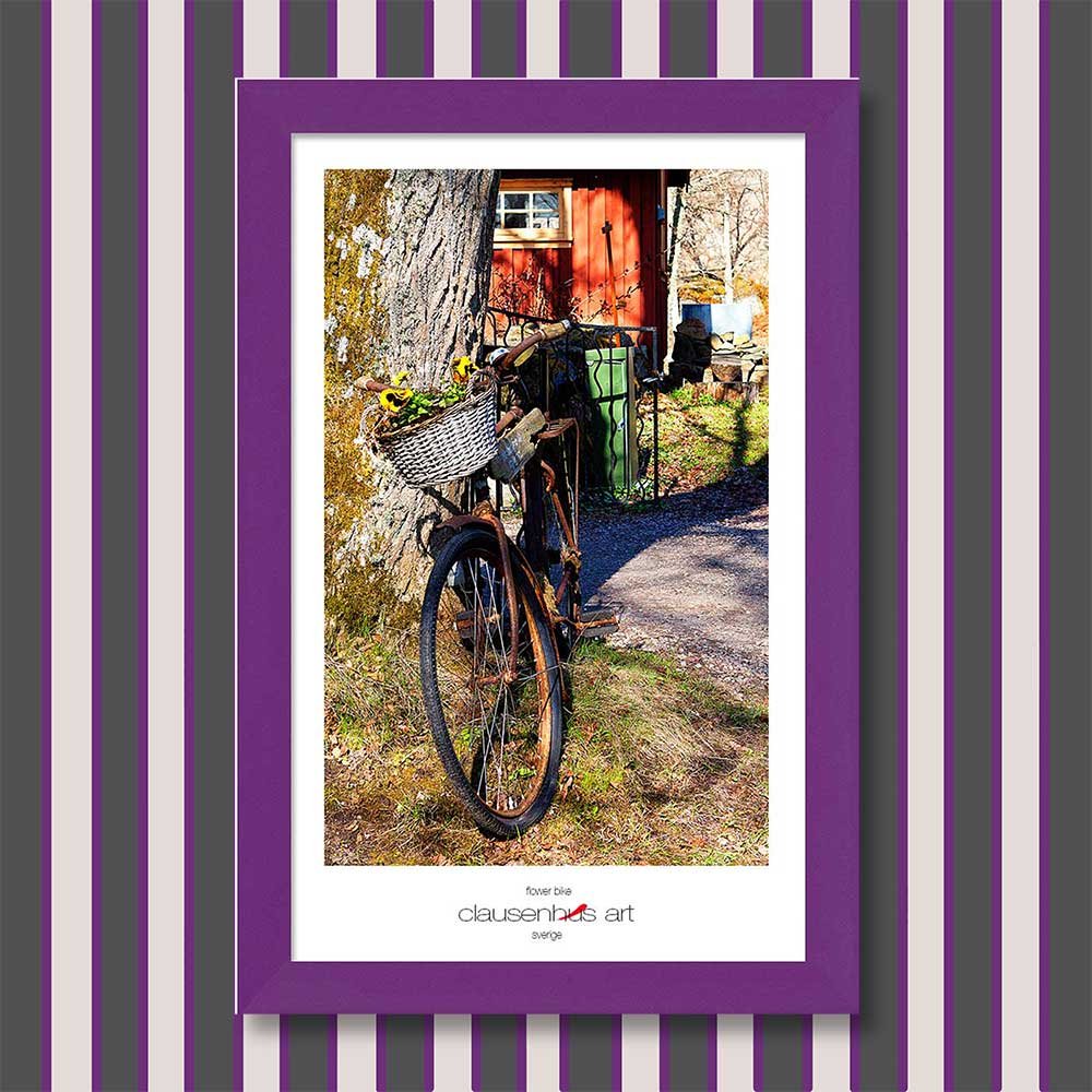 flower-bike-copy.jpg