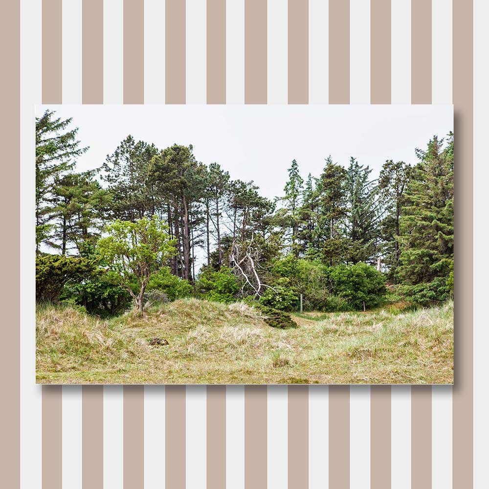 titel: skallerup inlandsdyner 2