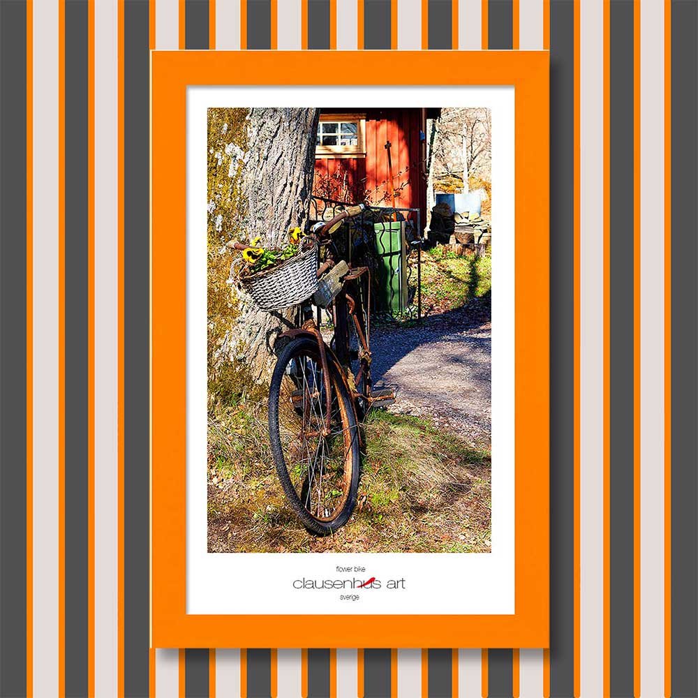flower-bike-copy.jpg