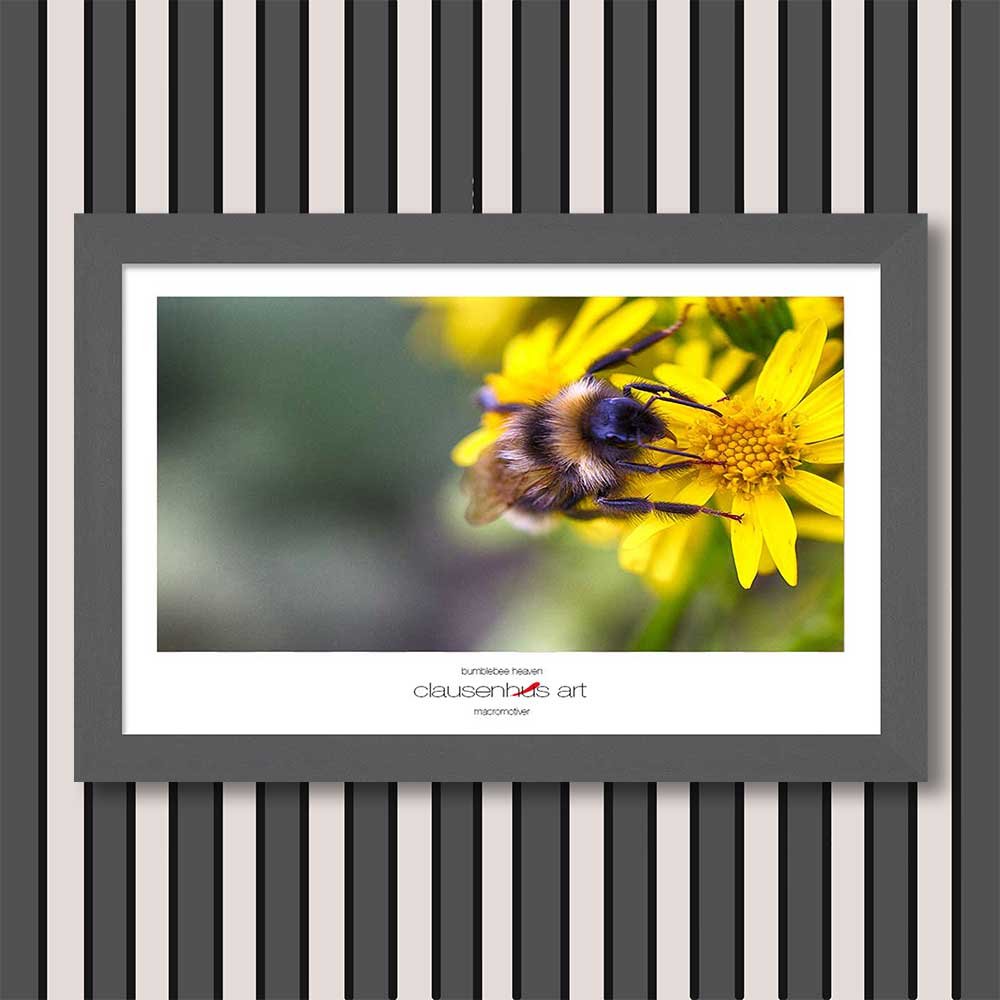 bumblebee-heaven-copy.jpg