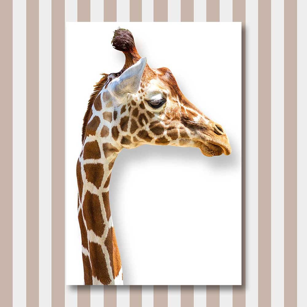 titel: giraff