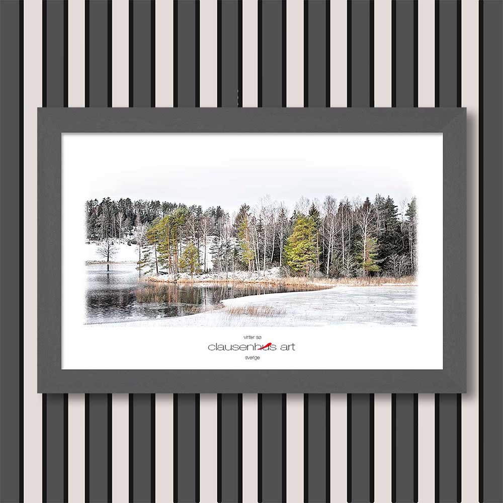 vinter-sø-copy.jpg